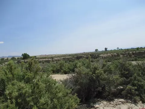 5721 Peach Valley Rd, Delta, CO 81416