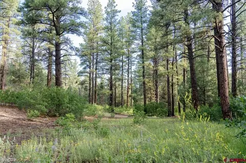 lot S 1-3 Road 392, Mancos, CO 81328