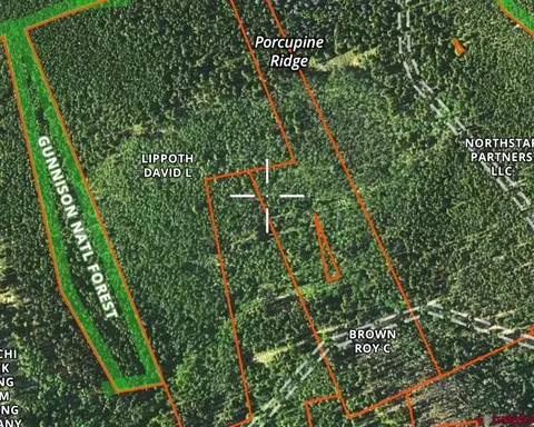 tbd Erie Mine Rd, White Pine, CO 81248
