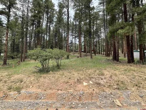 79 Spruce Way, Bayfield, CO 81122
