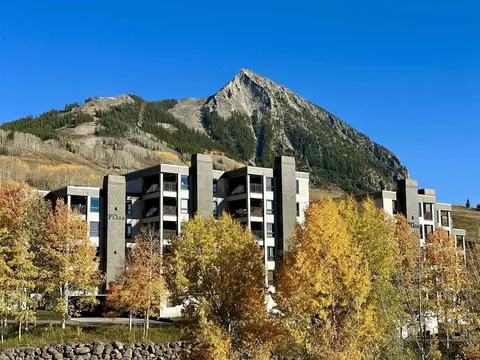 11 Snowmass Road Plaza At Wood Crk UNIT MT, Crested Butte, CO 81225