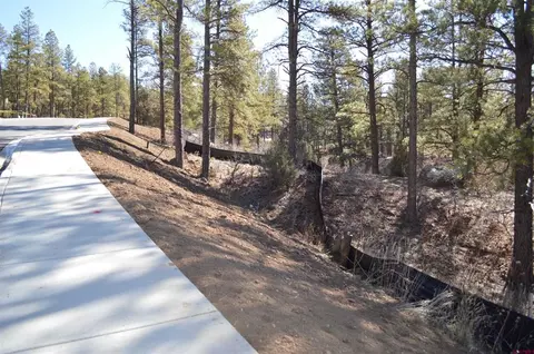 676 Tipple Ave, Durango, CO 81301 photo 5