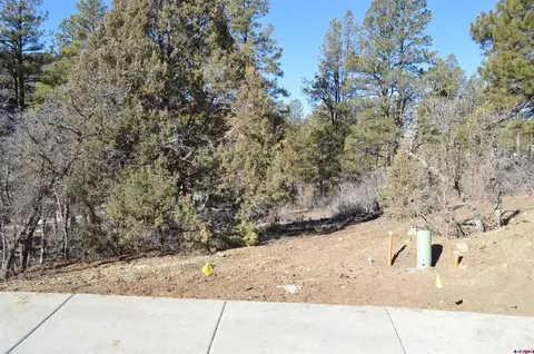 111 Winterberry Ct, Durango, CO 81301 photo 5