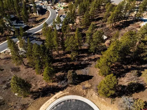 111 Winterberry Ct, Durango, CO 81301 photo 3