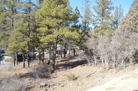 111 Winterberry Ct, Durango, CO 81301 photo 6