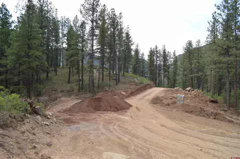 90 Avalanche Lily Dr, Durango, CO 81301 photo 19