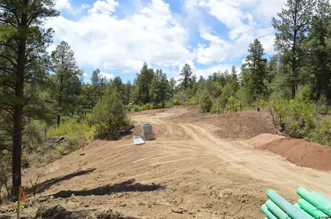 90 Avalanche Lily Dr, Durango, CO 81301 photo 23