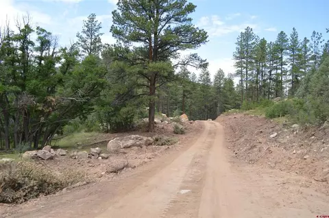 90 Avalanche Lily Dr, Durango, CO 81301 photo 18