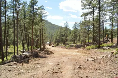 90 Avalanche Lily Dr, Durango, CO 81301 photo 21