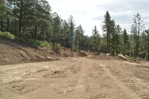 90 Avalanche Lily Dr, Durango, CO 81301 photo 15