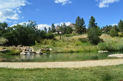 90 Avalanche Lily Dr, Durango, CO 81301 photo 13