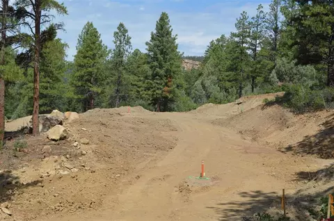 90 Avalanche Lily Dr, Durango, CO 81301 photo 17