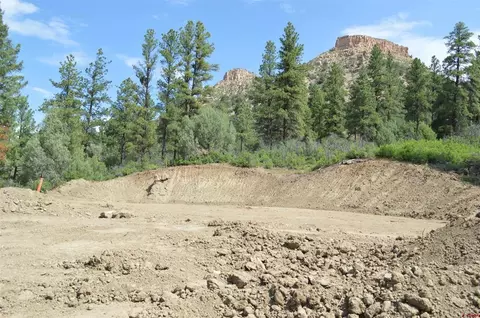 90 Avalanche Lily Dr, Durango, CO 81301 photo 16
