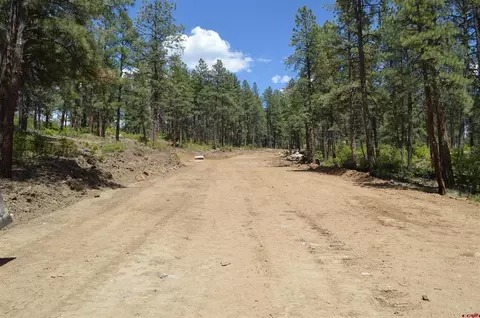 90 Avalanche Lily Dr, Durango, CO 81301 photo 27