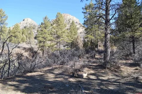 63 Snowdrop Ct, Durango, CO 81301 photo 7