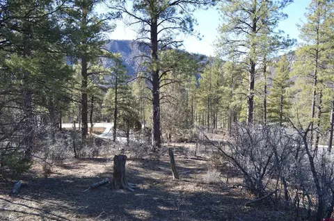 63 Snowdrop Ct, Durango, CO 81301 photo 6