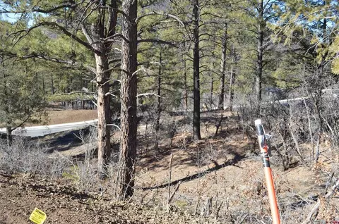 63 Snowdrop Ct, Durango, CO 81301 photo 5