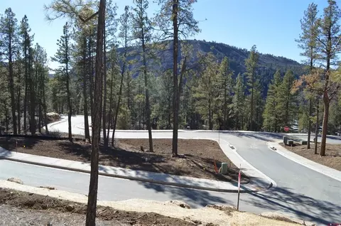 53 Snowdrop Ct, Durango, CO 81301 photo 24
