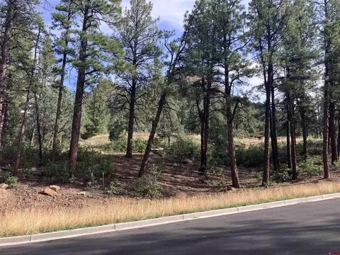 53 Snowdrop Ct, Durango, CO 81301 photo 5
