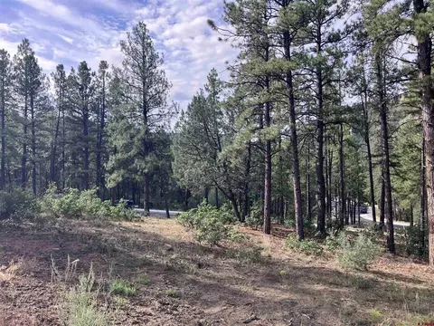 53 Snowdrop Ct, Durango, CO 81301 photo 6