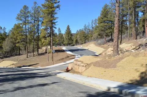 53 Snowdrop Ct, Durango, CO 81301 photo 22