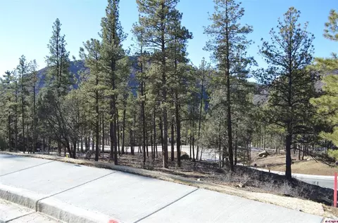 53 Snowdrop Ct, Durango, CO 81301 photo 11