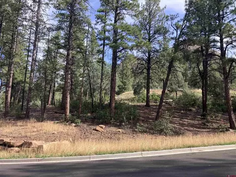 53 Snowdrop Ct, Durango, CO 81301 photo 10