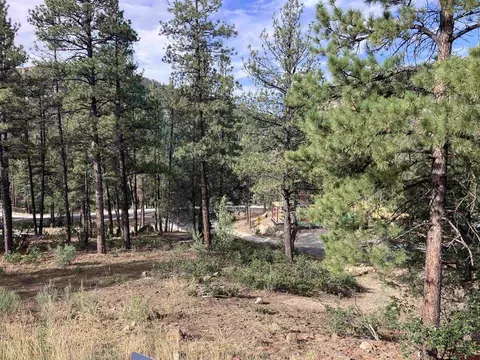 53 Snowdrop Ct, Durango, CO 81301 photo 13