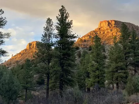 53 Snowdrop Ct, Durango, CO 81301 photo 6