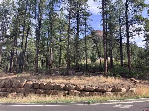 53 Snowdrop Ct, Durango, CO 81301 photo 8
