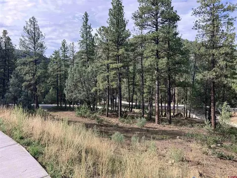 53 Snowdrop Ct, Durango, CO 81301 photo 9
