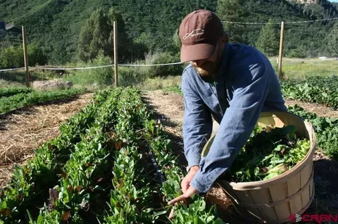 775 Tipple Ave, Durango, CO 81301 photo 15