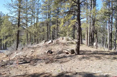 775 Tipple Ave, Durango, CO 81301 photo 7