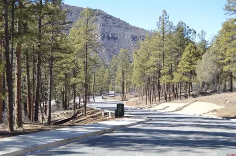 775 Tipple Ave, Durango, CO 81301 photo 21