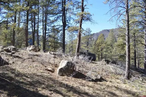 775 Tipple Ave, Durango, CO 81301 photo 8