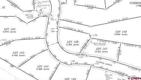 775 Tipple Ave, Durango, CO 81301 photo 12