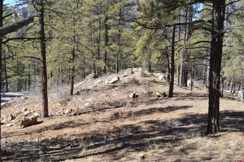 775 Tipple Ave, Durango, CO 81301 photo 5