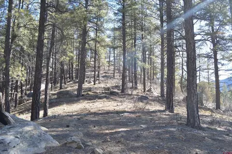 755 Tipple Ave, Durango, CO 81301 photo 5