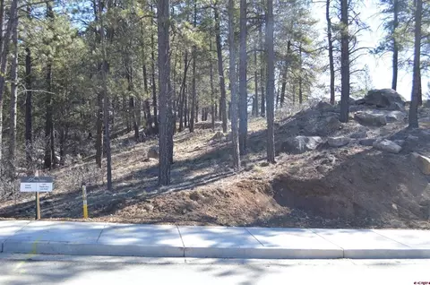 755 Tipple Ave, Durango, CO 81301 photo 4