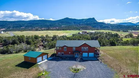 14250 S Ouray Ct, Collbran, CO 81624