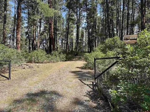 996 1032 Raccoon Dr, Pagosa Springs, CO 81147