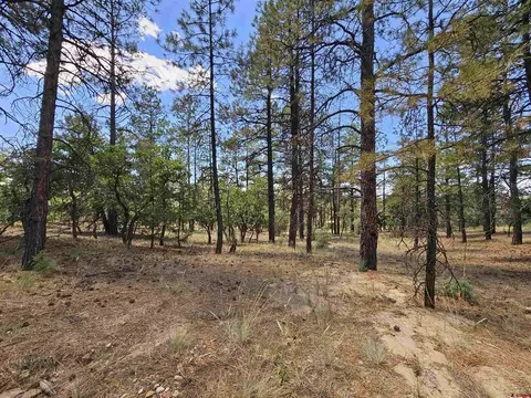 13 Rock Point Pl, Pagosa Springs, CO 81147