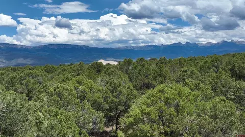 lot19 Ponderosa Dr, Ridgway, CO 81432