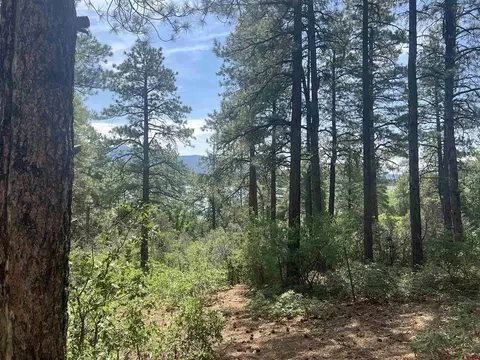 13310 Road 419, Mancos, CO 81328