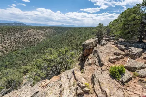 277 Cotton Ln, Montrose, CO 81403