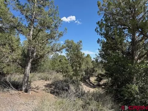 2519 Green Shadows Rd, Durango, CO 81303 photo 13