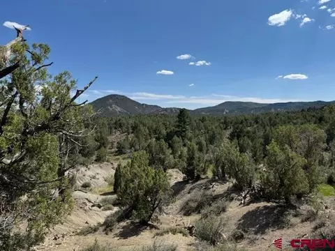 2519 Green Shadows Rd, Durango, CO 81303 photo 4