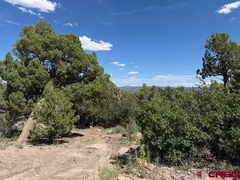 2519 Green Shadows Rd, Durango, CO 81303 photo 7