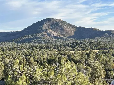 2519 Green Shadows Rd, Durango, CO 81303