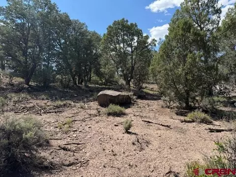 2519 Green Shadows Rd, Durango, CO 81303 photo 14